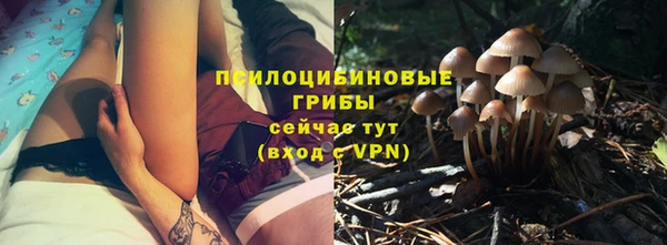 амф Ленск